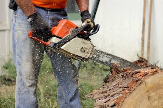 AHCMOM213 Operate and Maintain Chainsaws (Half Day Course)
